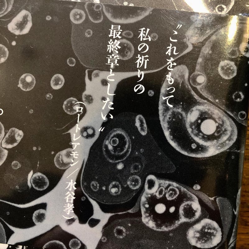 The Last One〈Poésies : Les Rallizes Dénudés〉裸のラ