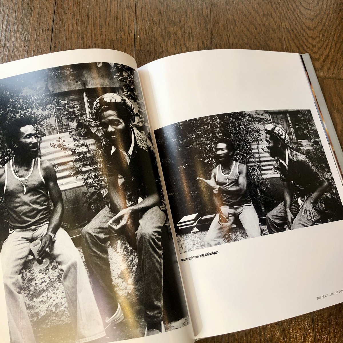 SUPER PERRY：Dennis Morris（著） | OTHERS
