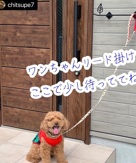 【ツリーの傘かけ300】アルミ製