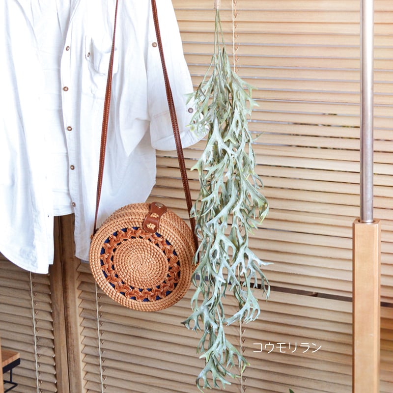 光触媒 消臭効果 抗菌効果 壁掛けフェイクグリーン 植物 造花コウモリ