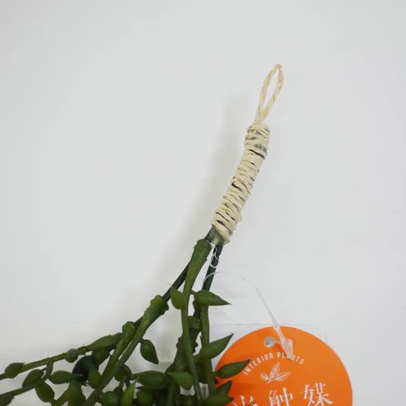 光触媒 消臭効果 抗菌効果 壁掛けフェイクグリーン 植物 造花 セネリオ