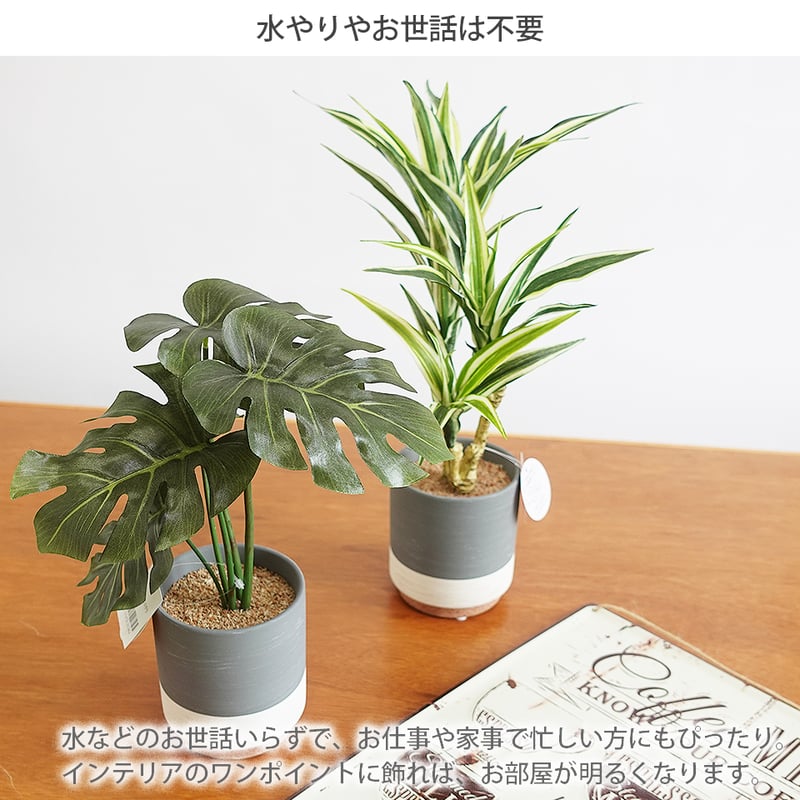 セラミックポット モンステラ インテリアグリーン フェイク