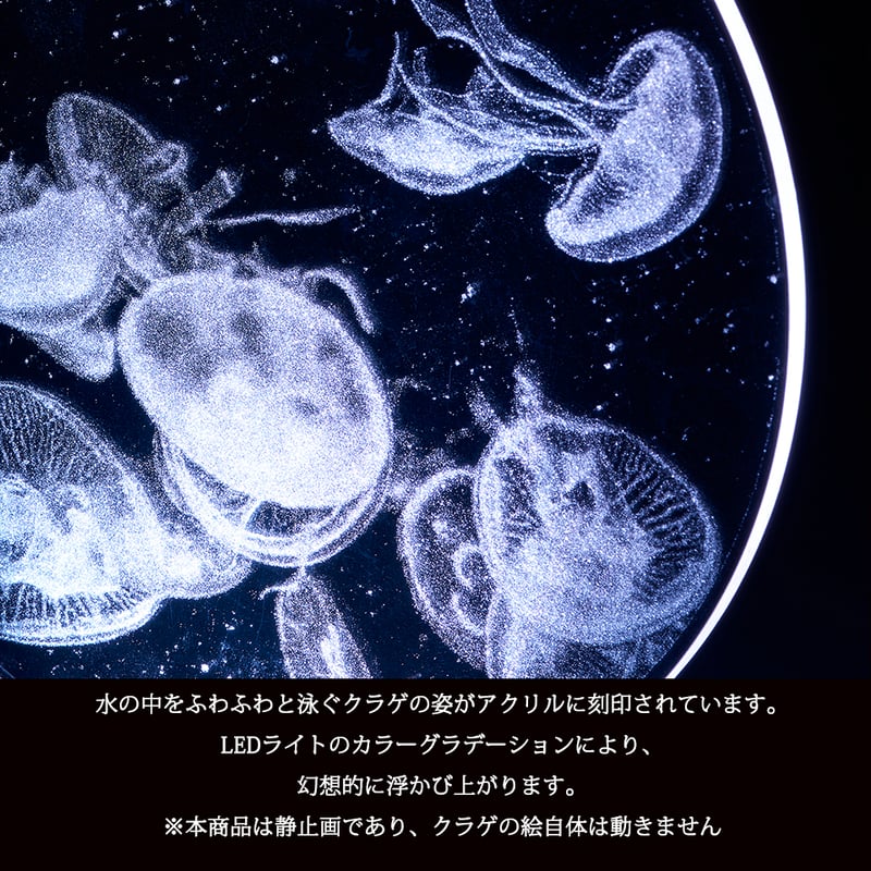 アクリルLEDライト くらげ jellyfish 間接照明 照明 ライト インテリア 水族館 ...