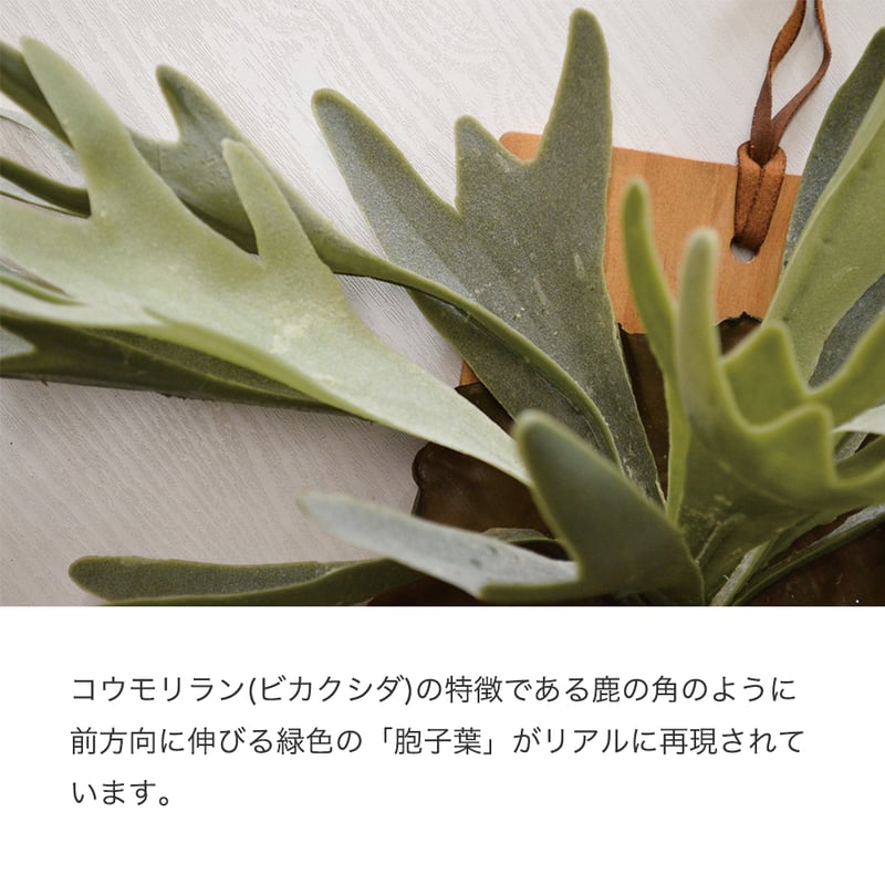コウモリラン インテリアグリーン フェイクグリーン 造花 消臭効果