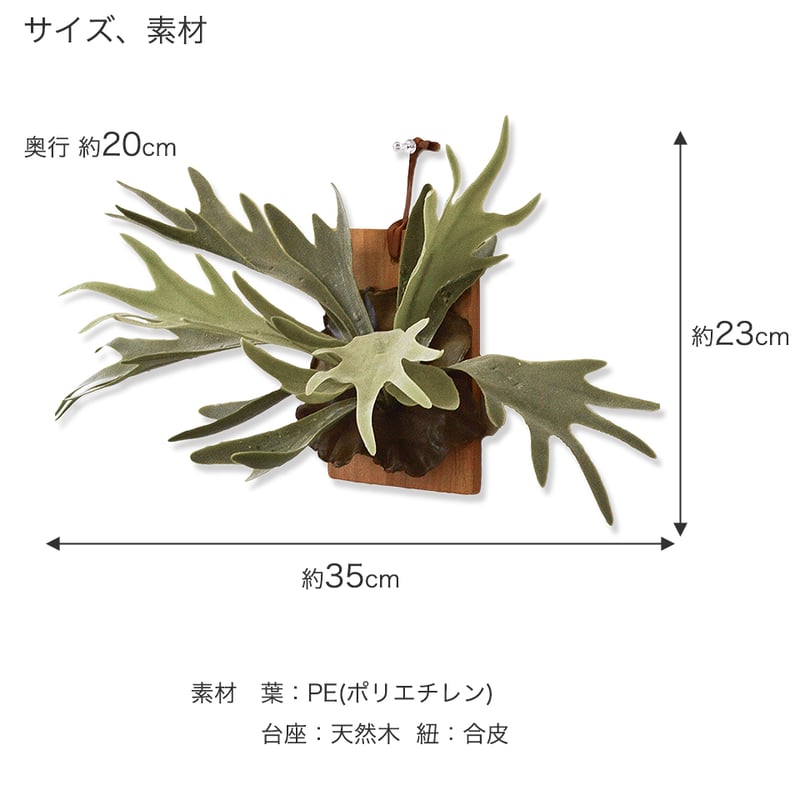 コウモリラン インテリアグリーン フェイクグリーン 造花 消臭効果