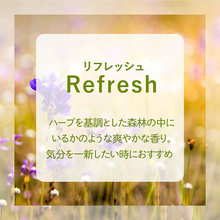 アシュレイ&バーウッド ⭐︎ フレグランス リラクゼーション アシュレイ＆バーウッド ランプフレグランス リラクゼーション