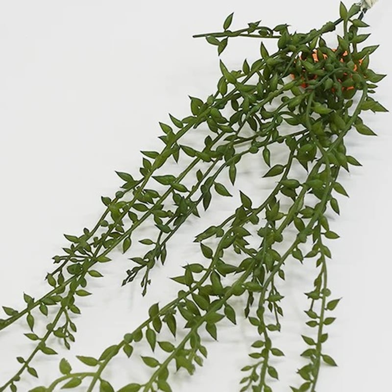 光触媒 消臭効果 抗菌効果 壁掛けフェイクグリーン 植物 造花 セネリオ