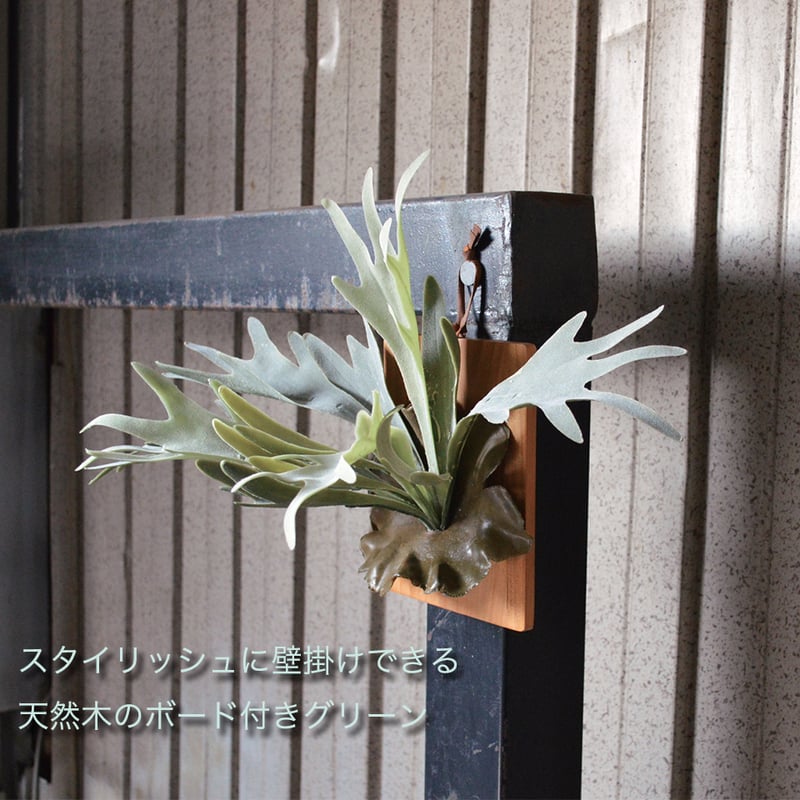 コウモリラン インテリアグリーン フェイクグリーン 造花 消臭効果