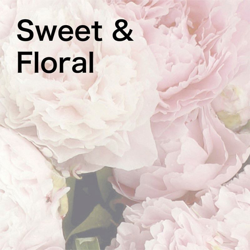 アシュレイ＆バーウッド ランプフレグランス ルバーブ＆ローズ 500ml