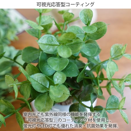 ユーカリセット インテリアグリーン フェイクグリーン 造花 消臭効果 抗菌効果 植物 枯れない