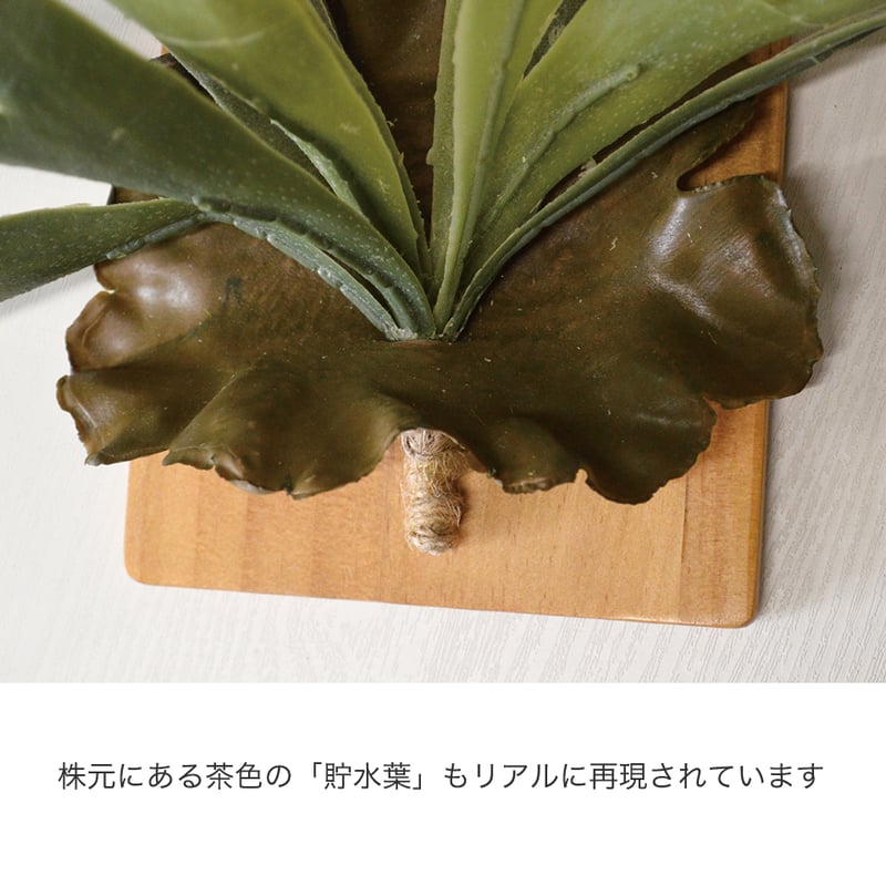 コウモリラン インテリアグリーン フェイクグリーン 造花 消臭効果