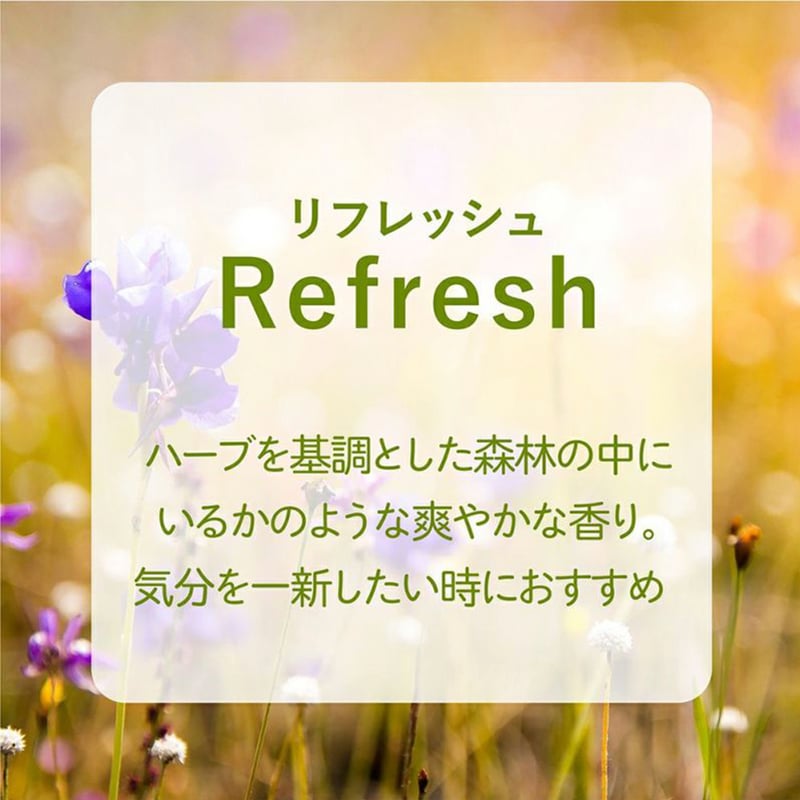 アシュレイ＆バーウッド ランプフレグランス ホワイトベルベット 500ml