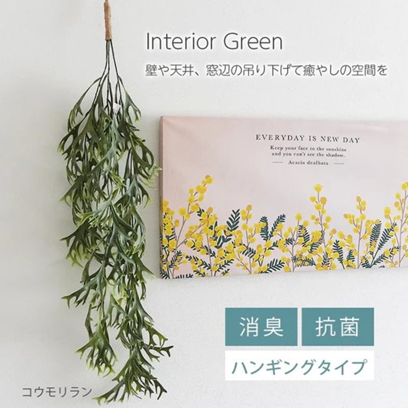 光触媒 消臭効果 抗菌効果 壁掛けフェイクグリーン 植物 造花コウモリ