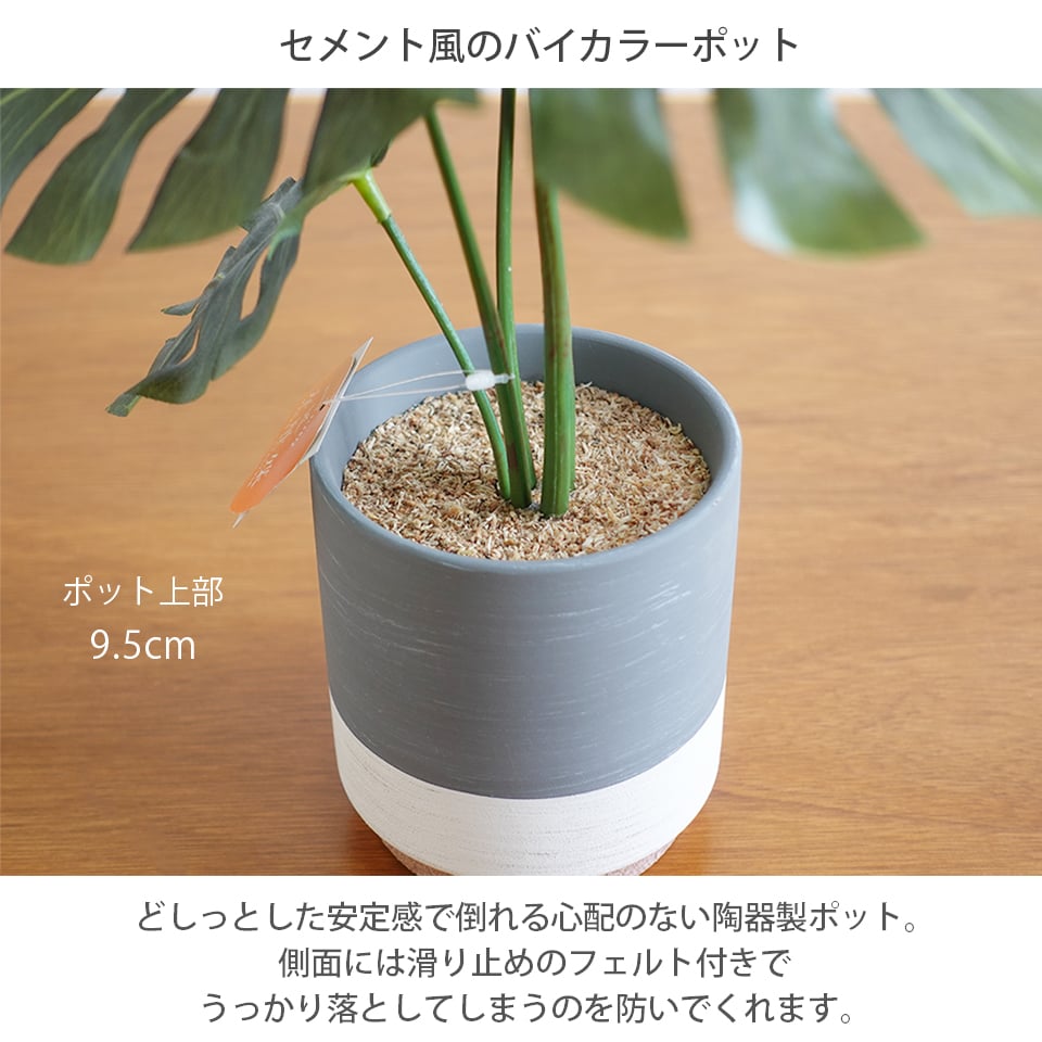セラミックポット モンステラ インテリアグリーン フェイクグリーン