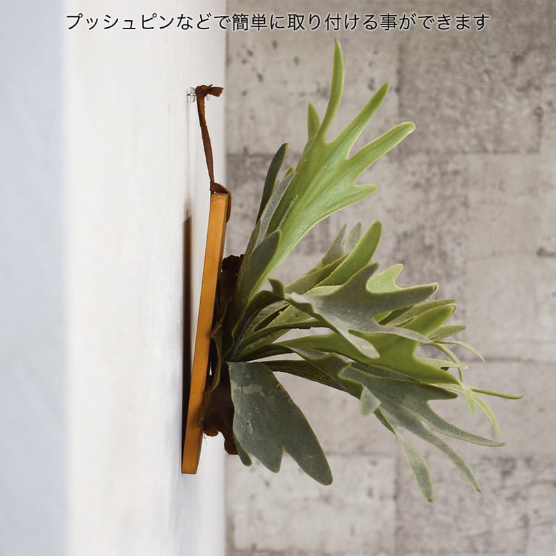 コウモリラン インテリアグリーン フェイクグリーン 造花 消臭効果