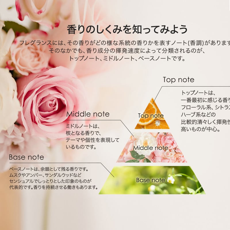 アシュレイ＆バーウッド フレグランスランプL フェアリーマジック 除菌