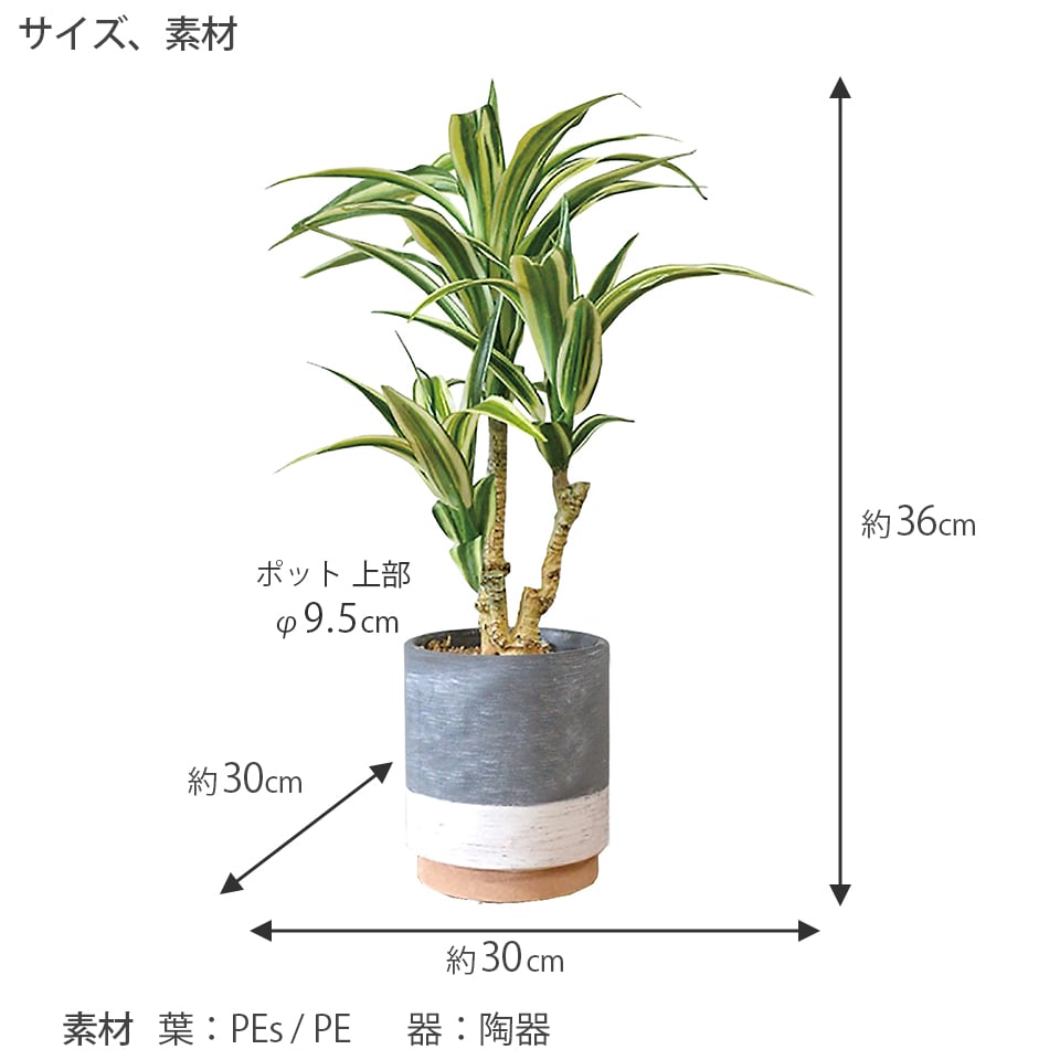 人気のセラミックポット2個セット モンステラ ドラセナ インテリア