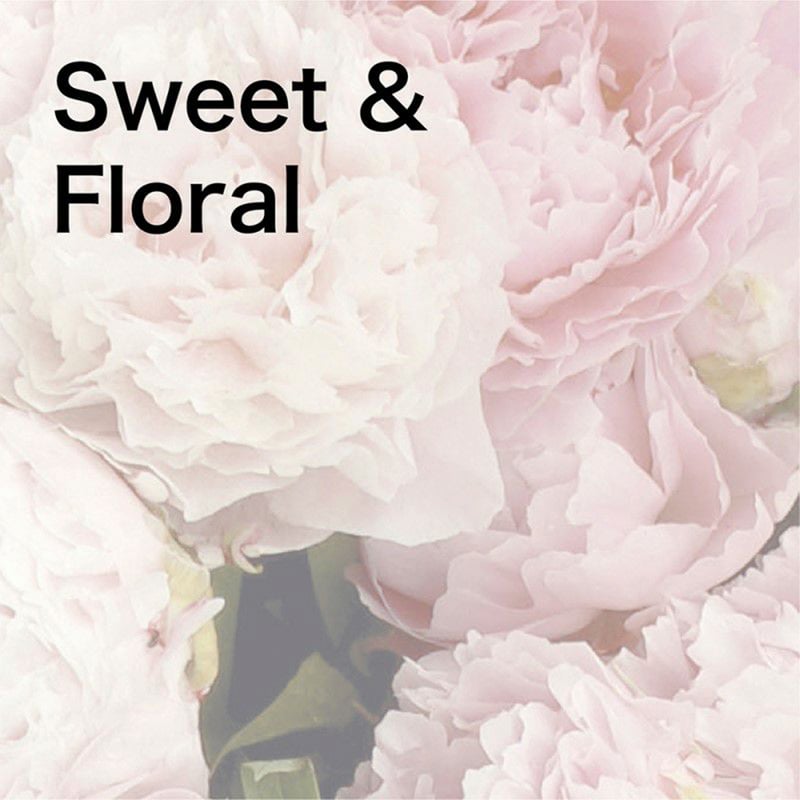 アシュレイ＆バーウッド ランプフレグランス ホワイトベルベット 500ml