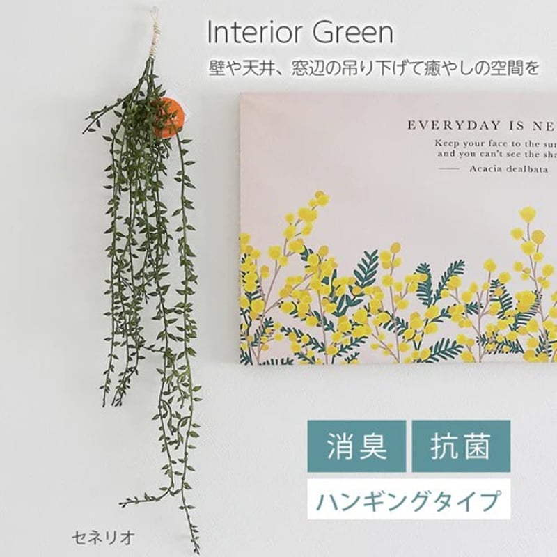 光触媒 消臭効果 抗菌効果 壁掛けフェイクグリーン 植物 造花 セネリオ