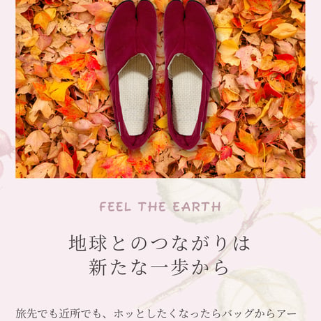 🌟地球🌎と繋がるアーシングTABI 人氣のジューン ベリー　13,000円✨13,000円🌟