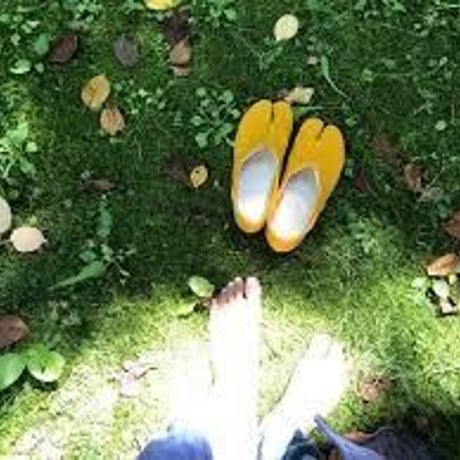 あなたのお住いの地域にお伺いします！「イオさんの電磁波とアーシング講座」のご依頼ご相談