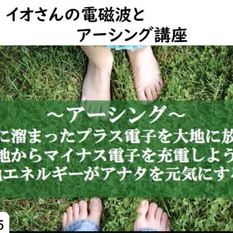 「イオさんの電磁波とアーシングZOOM講座」ZOOM4回講座をDVD4枚組に収録‼️ 9,900円→4,950円