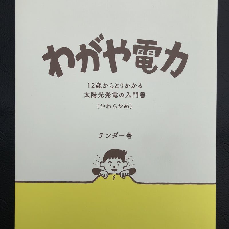 わがや電力 12歳からとりかかる太陽光発電の入門書 | IO'S
