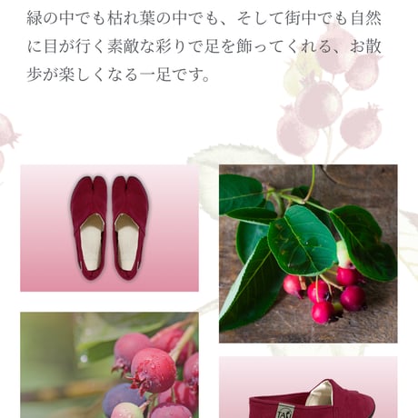 🌟地球🌎と繋がるアーシングTABI 人氣のジューン ベリー　13,000円✨13,000円🌟