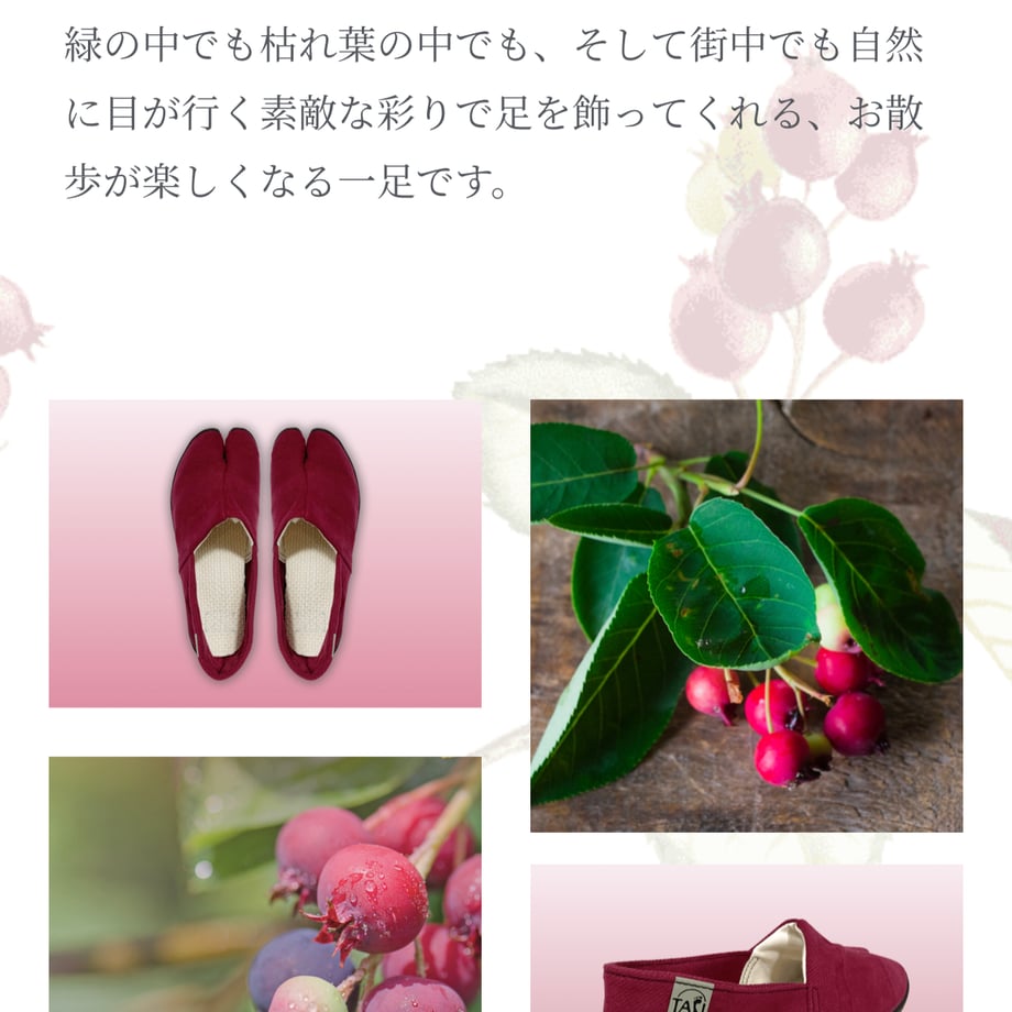 656d9701712e6e002afc1d1c