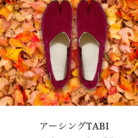 🌟地球🌎と繋がるアーシングTABI 人氣のジューン ベリー　13,000円✨13,000円🌟