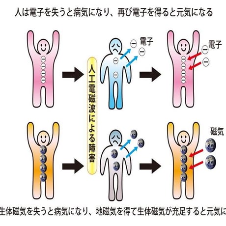 あなたのお住いの地域にお伺いします！「イオさんの電磁波とアーシング講座」のご依頼ご相談