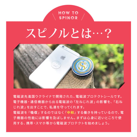 ✨✨スピノルルーム！33,000円→32,400円✨✨　在庫切れの場合は入荷次第発送です