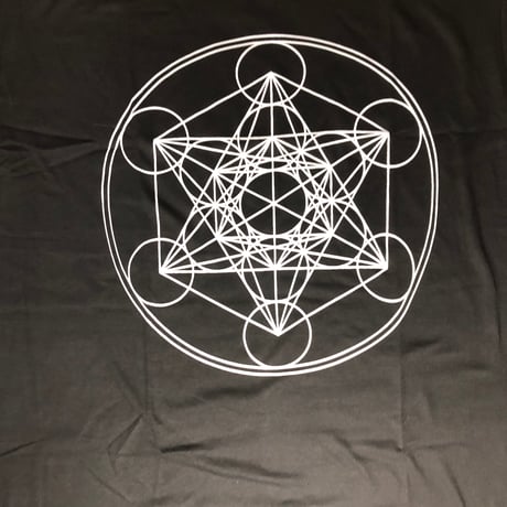 在庫2点のみ！Tシャツ　メタトロン　M サイズ　　黒字に白　 3,900円→1,950円‼️