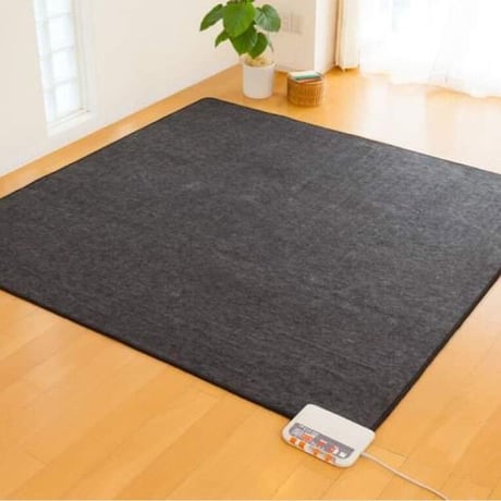 電磁波が出ない電氣カーペット！　電磁波の磁場を99％カット！ゼンケンホットカーペット2畳用　ZK01