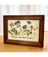 SAIKA ビオラ ボタニカル押し花アレンジM額 | 押し花 Shop