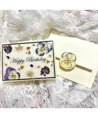 SAIKA　本物のお花の入ったバースデーカードｓ（封筒＆花シール付き）