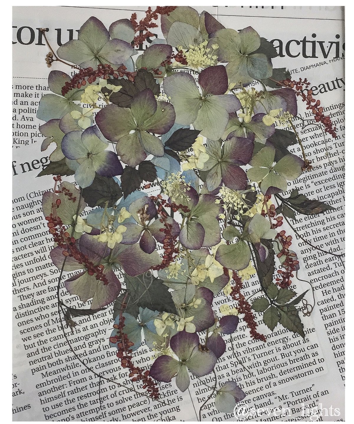 ⚫︎フランスアンティーク⚫︎朽ちた紫陽花 古い木枠の額絵〜paris⚫︎額装 古木 SAIKA アンティーク紫陽花の押し花ブーケM額 | 押し花 Shop