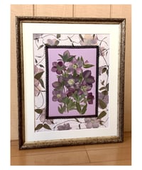 SAIKA ビオラ ボタニカル押し花アレンジM額 | 押し花 Shop