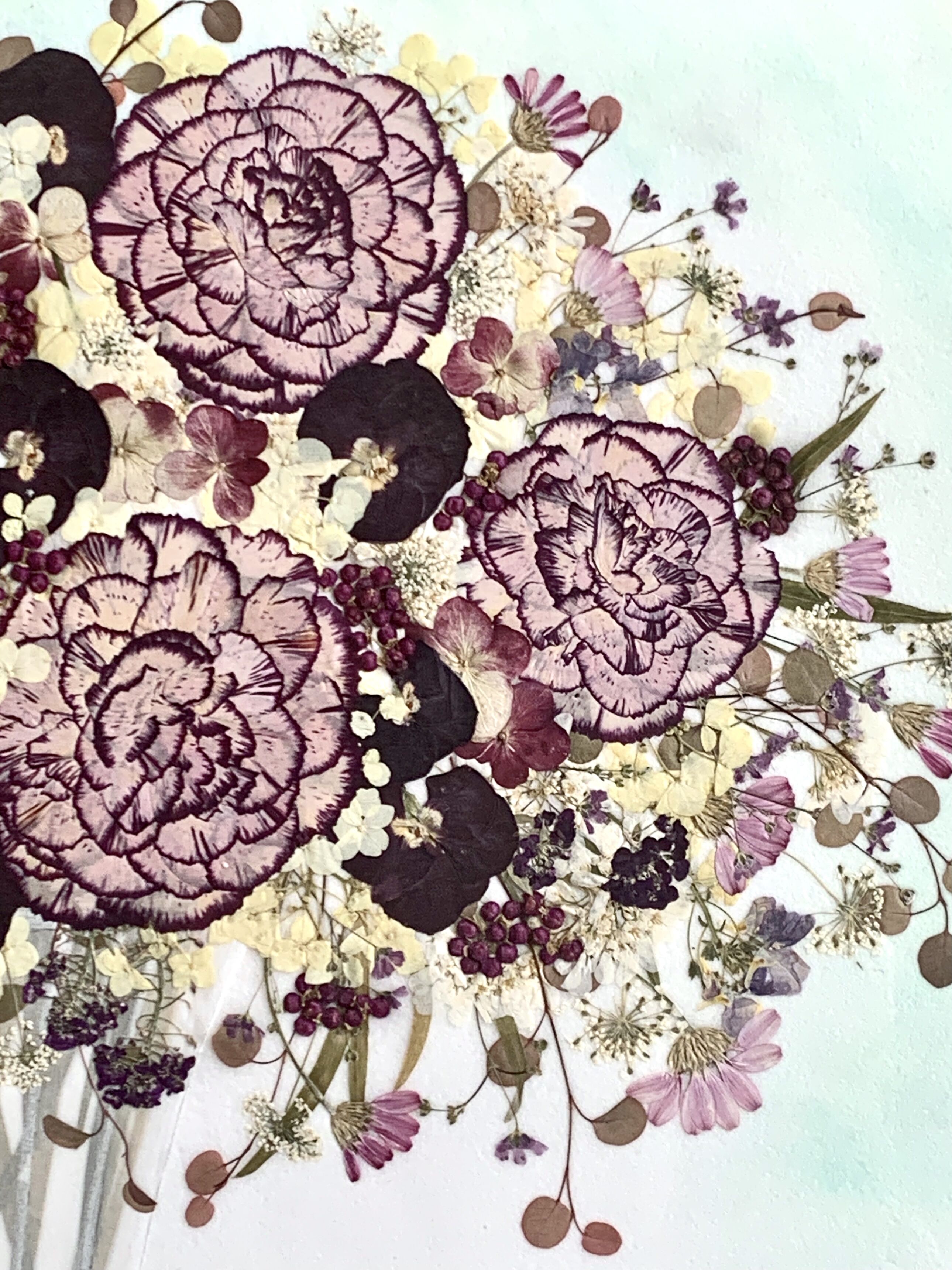 SAIKA 押し花アート インテリア L額 カーネーション | 押し花 Shop