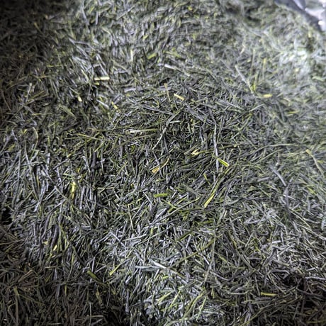 令和8年もの！芽重型の高級品種「さえみどりの被せ煎茶：貢大」10g