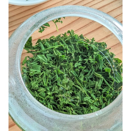令和8年もの！芽重型の高級品種「さえみどりの被せ煎茶：貢大」30g