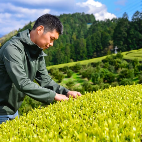 芽重型仕立ての上級煎茶リーフ「碧」 80g　ちょっと贅沢な普段用に！