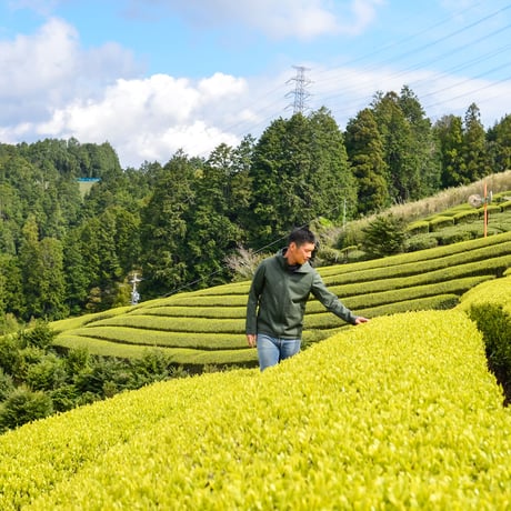 夏はボトルで水出し！香ばしさがクセになる「ほうじ茶50g」&フィルタインボトルセット