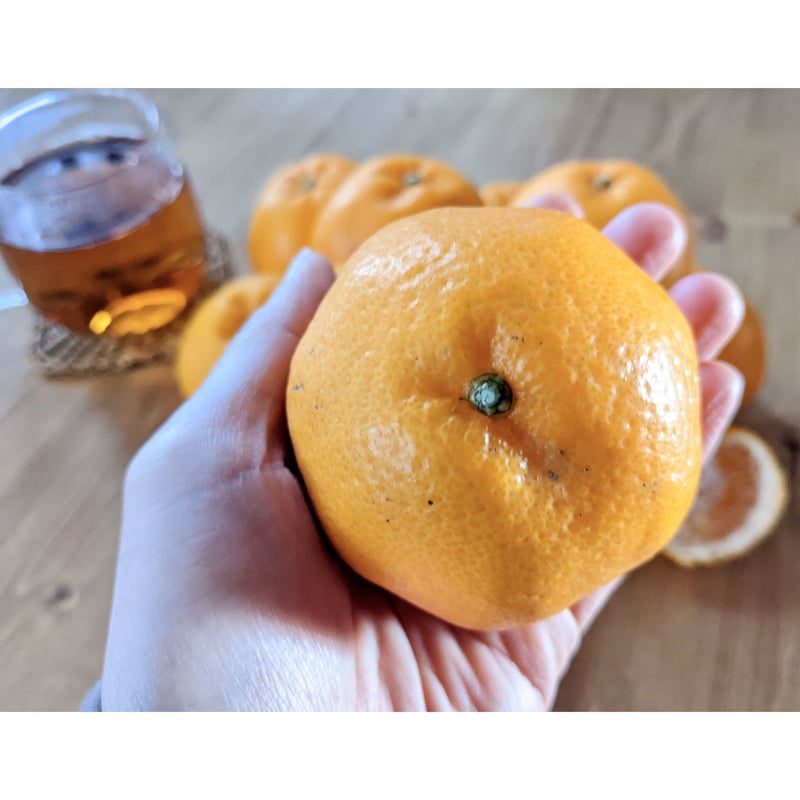 2月末まで！清水のジューシーで甘いミカン「はるみ」！10キロ箱ご自宅