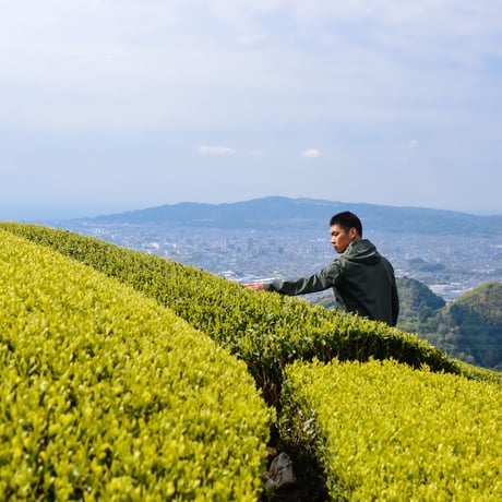 ボトルで水出し！「和紅茶50g」&「ほうじ茶50g」&フィルターインボトルセット