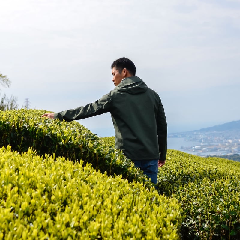 芽重型仕立ての上級煎茶リーフ「睦」 80g 水出し茶におすすめ！ | 杉山