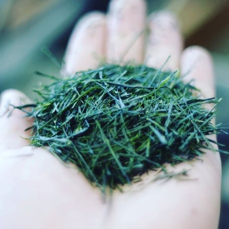 芽重型仕立て！上級煎茶リーフ「萌」 80g　贈り物にもおすすめ！