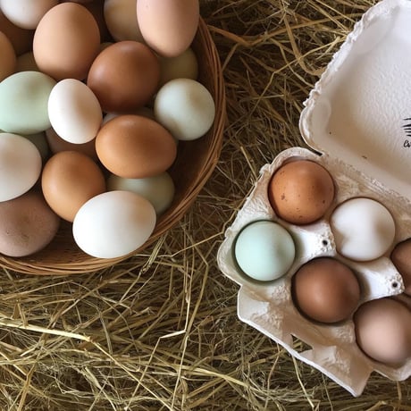 【自然放牧】レインボーたまご(Free Range Rainbow eggs) 12個
