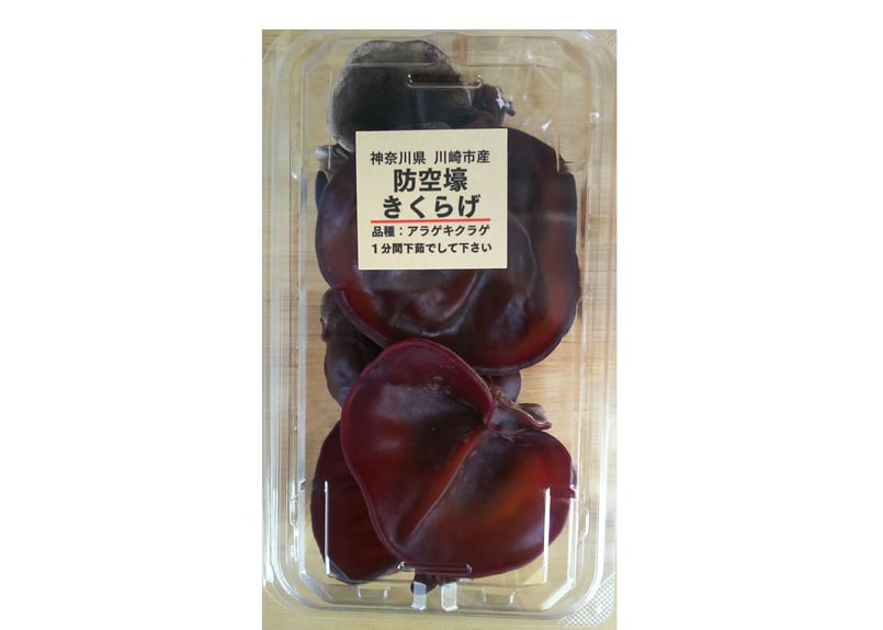 生きくらげ ≪オーガニック≫【業務用】国産生きくらげ（黒）（300g×3袋）+