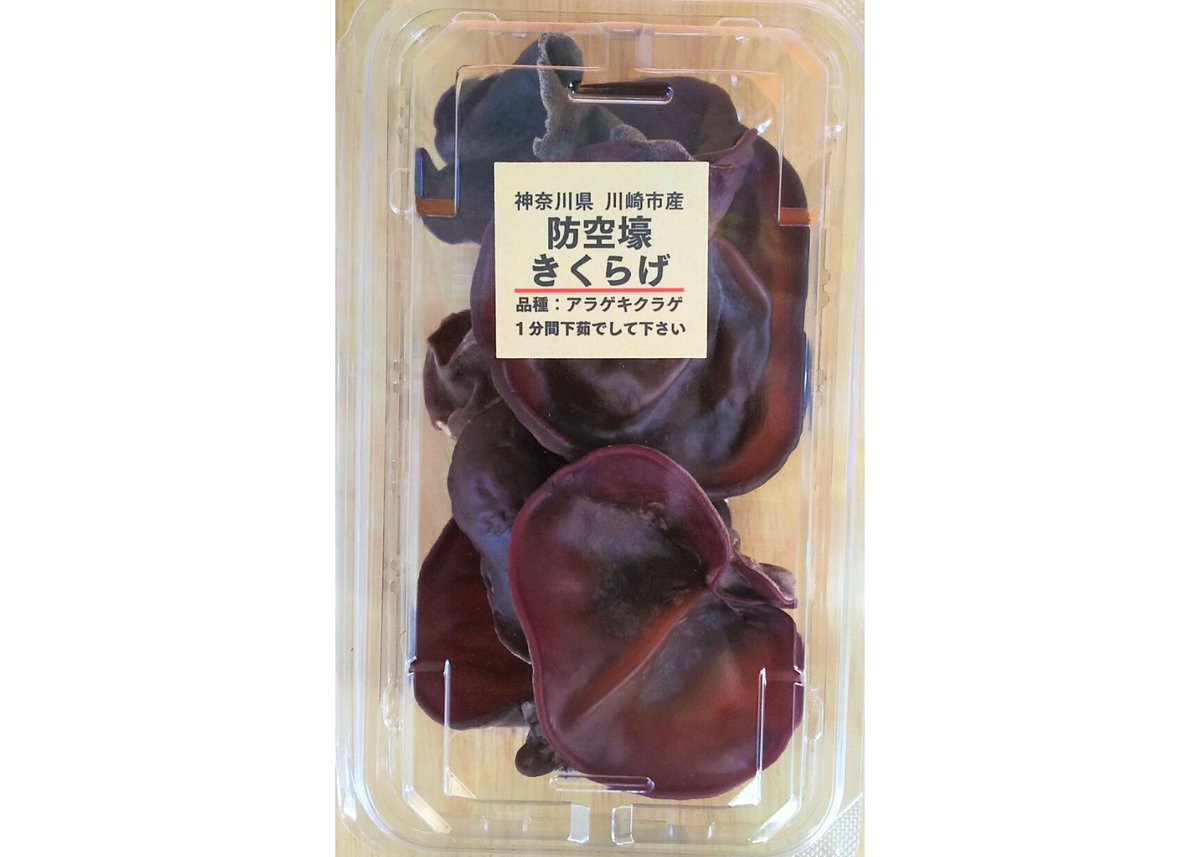 お試しセット 防空壕きくらげ70g×6パック レシピ付き | 防空壕
